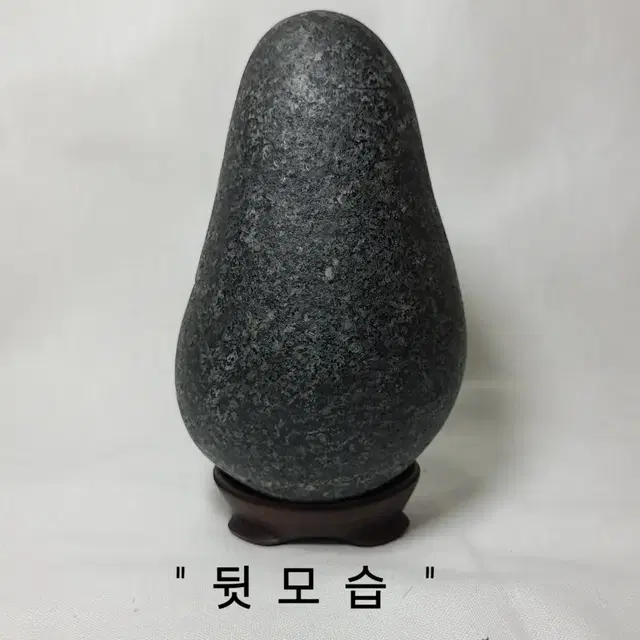 사유석