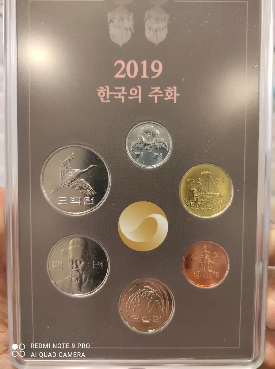 2019 주화  민트세트