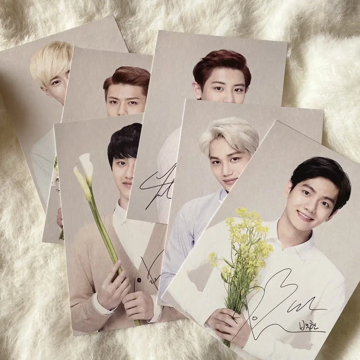 Nature exo Stamps