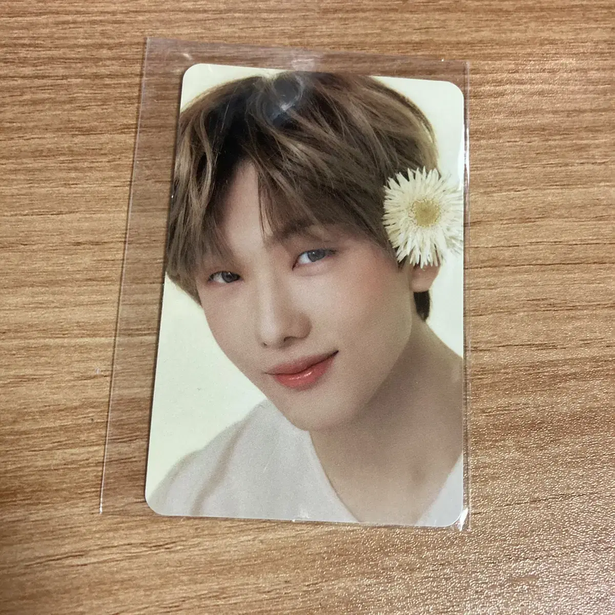 (Jun Dungpo) Candy Lab 4th Jisung Photocard