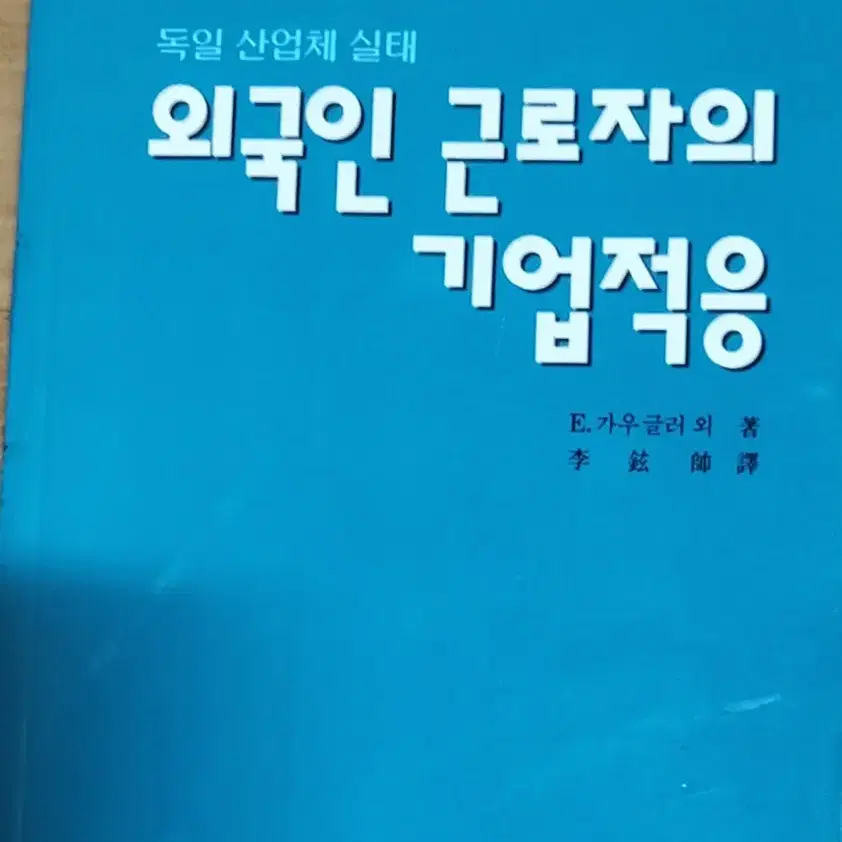 외국인 근로자의 기업적응