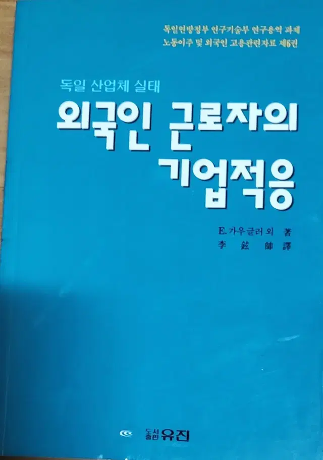 외국인 근로자의 기업적응