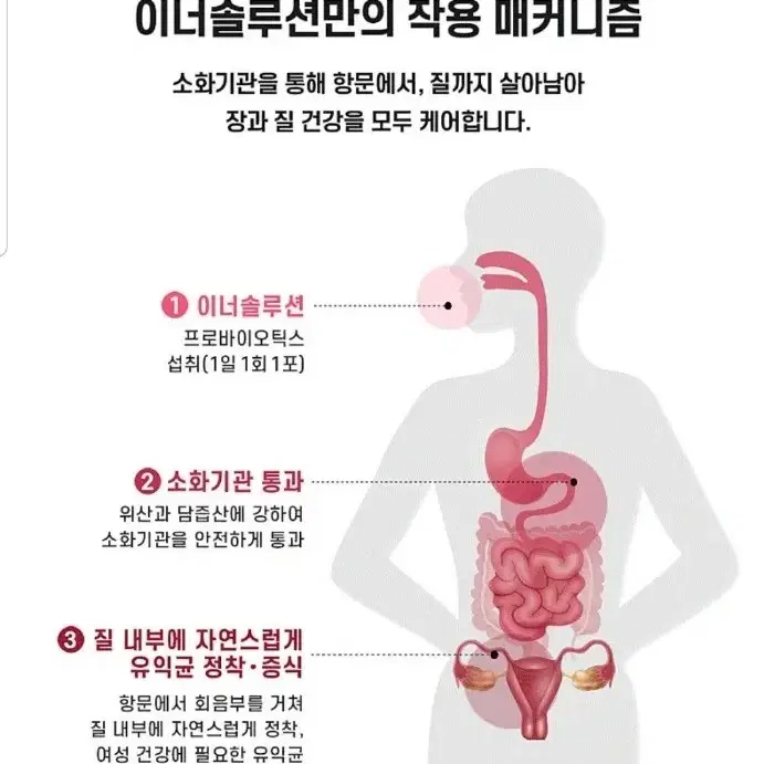 여성을 위한 유산균/질건강/장건강/질염 자궁건강 다이어트 네일팁