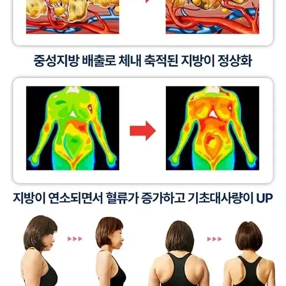 운동효과처럼다이어트 내장지방 혈액지방  체지방분해독소 디톡스