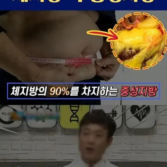 운동효과처럼다이어트 내장지방 혈액지방  체지방분해독소 디톡스