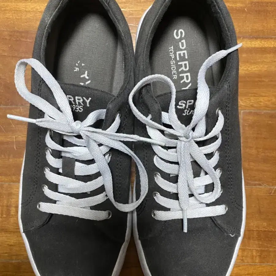 sperry 브라운 스니커즈 260