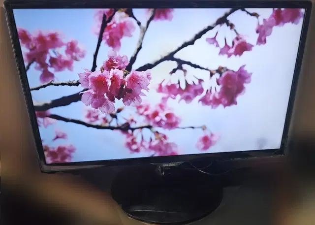 삼성 24인치 LED TV T24D393KD팝니다 IPTV 디지털TV