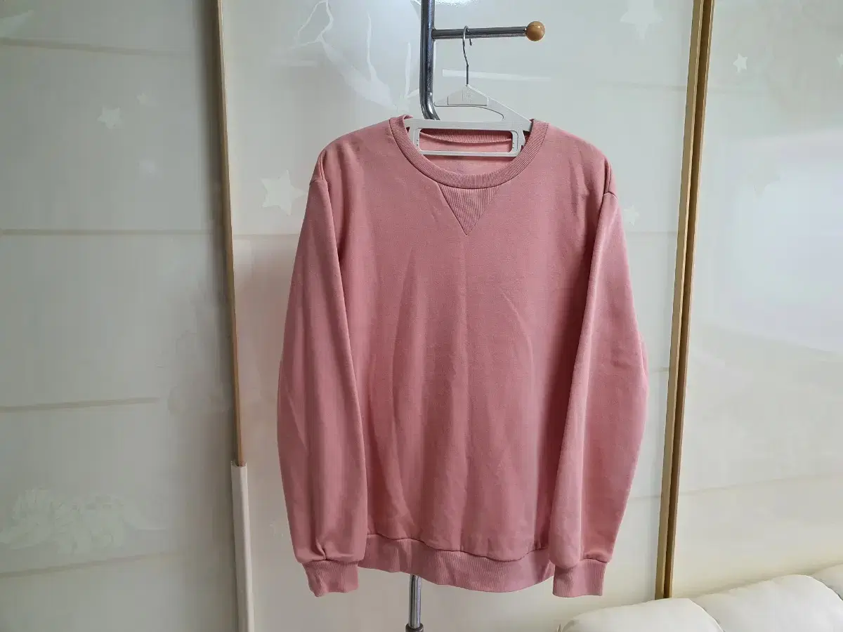 Lined, brushed, crew-neck sweatshirt (indie pink)