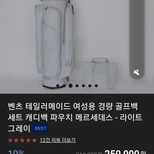 벤츠 골프백