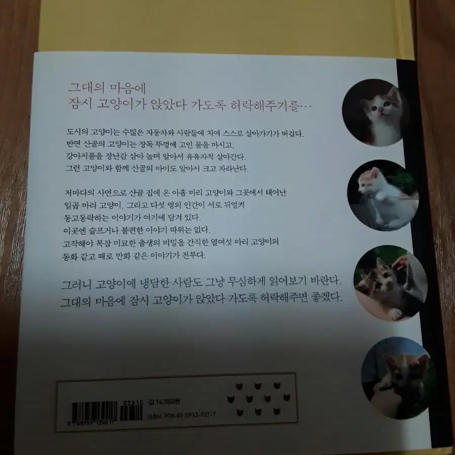 인간은 바쁘니까 고양이가 알아서 할게