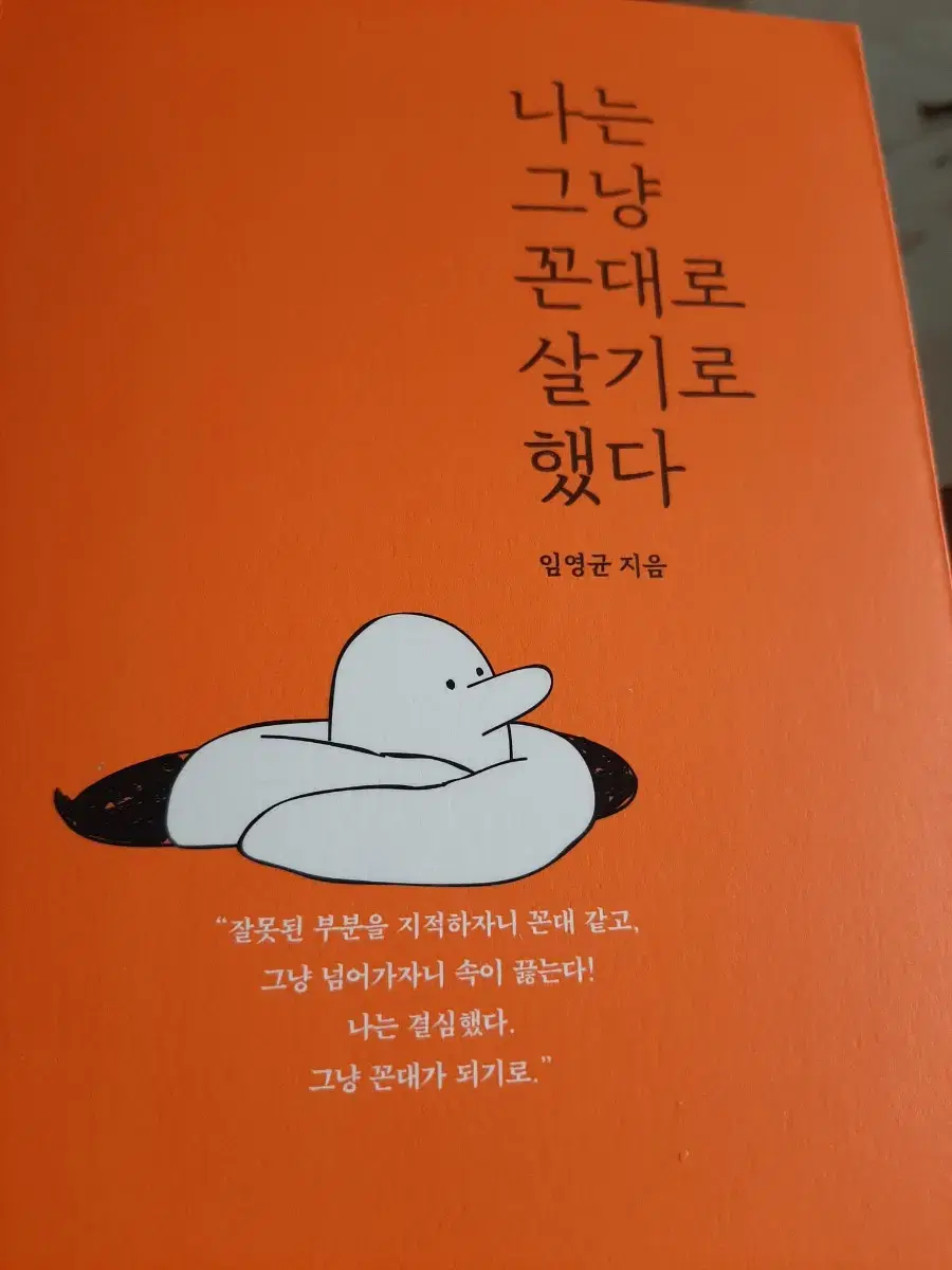 나는 그냥 꼰대로 살기로 했다