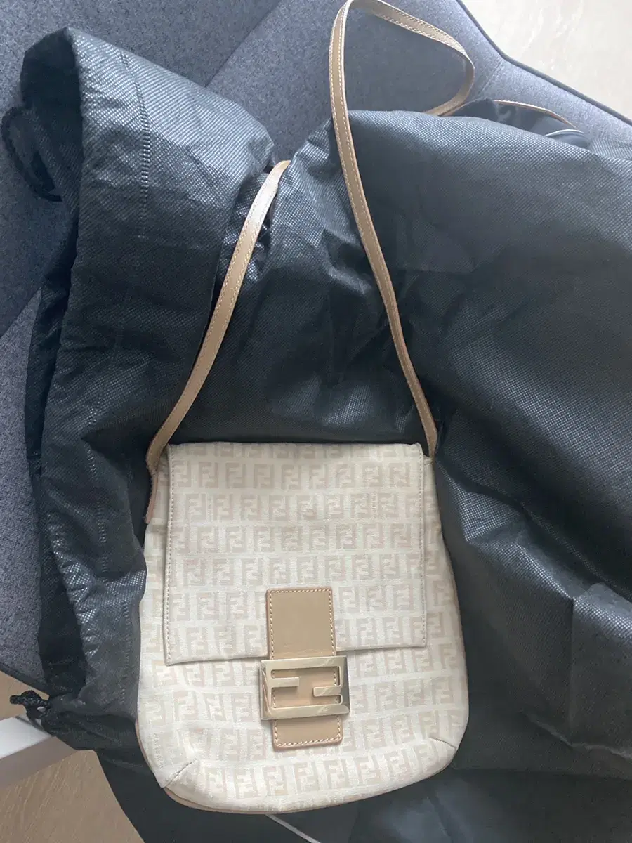 Fendi bag