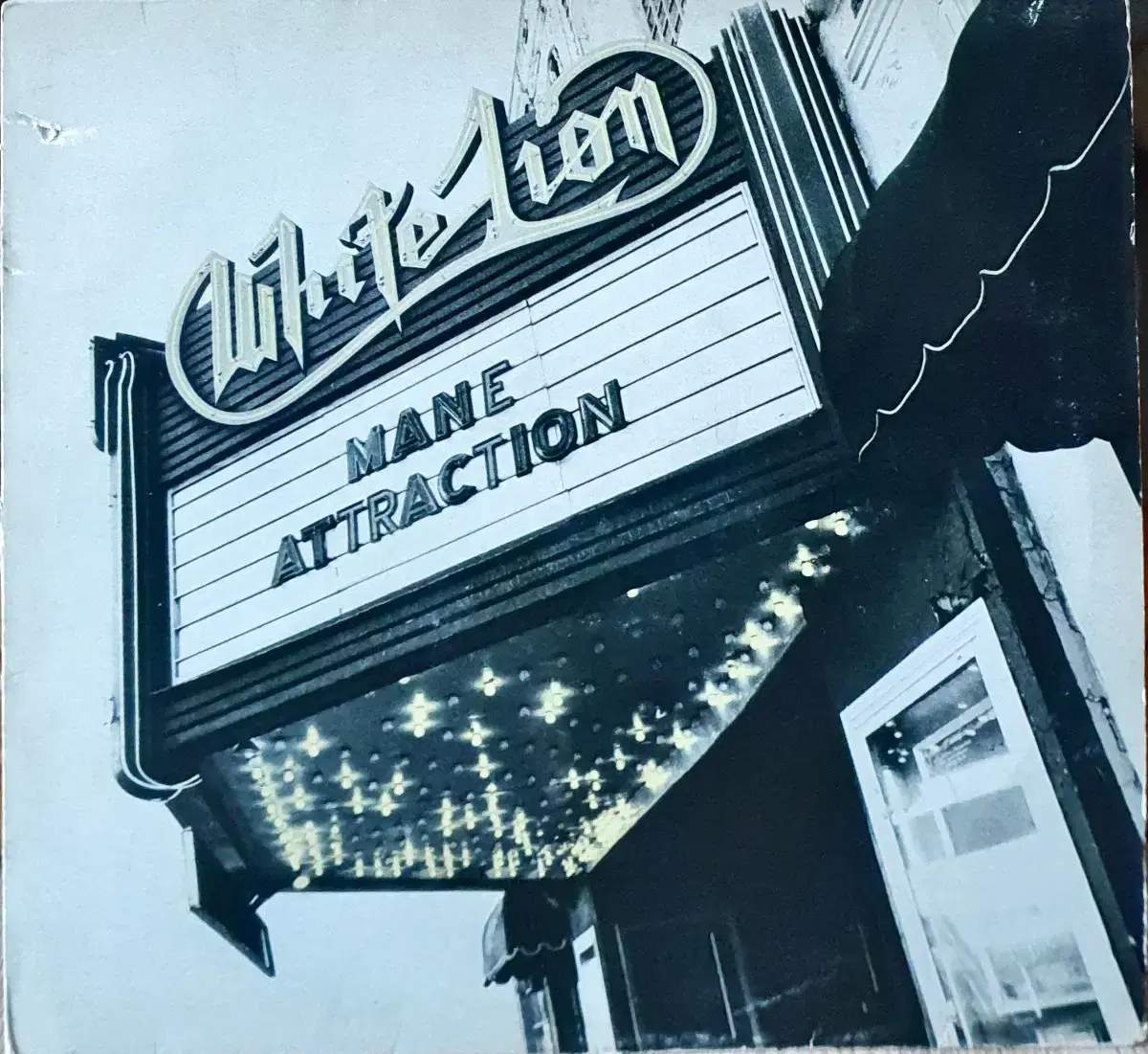 [LP][WHITE LION 화이트라이온] MANE ATTRACTION