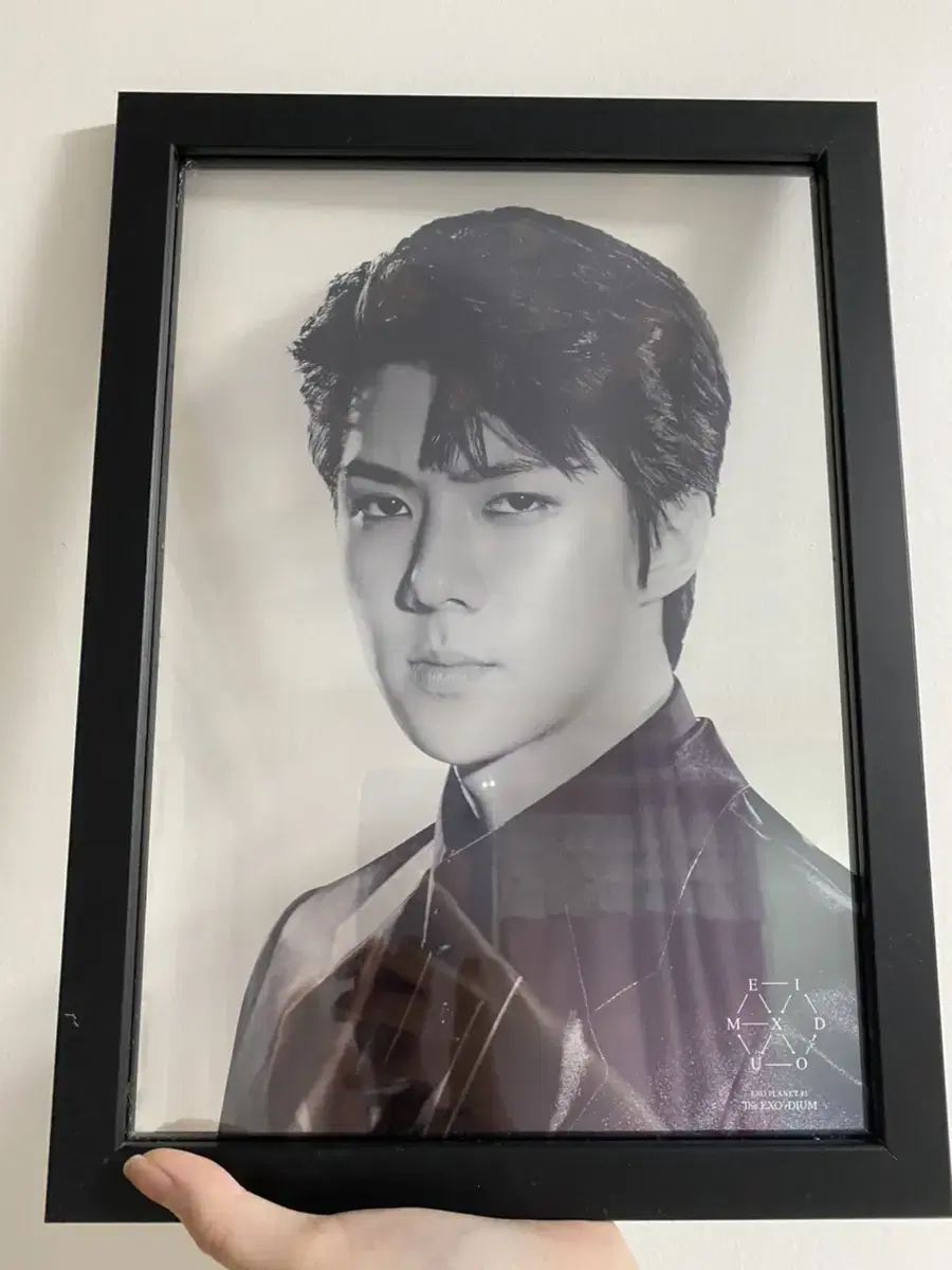 Sehun Transparent Picture Frame A4