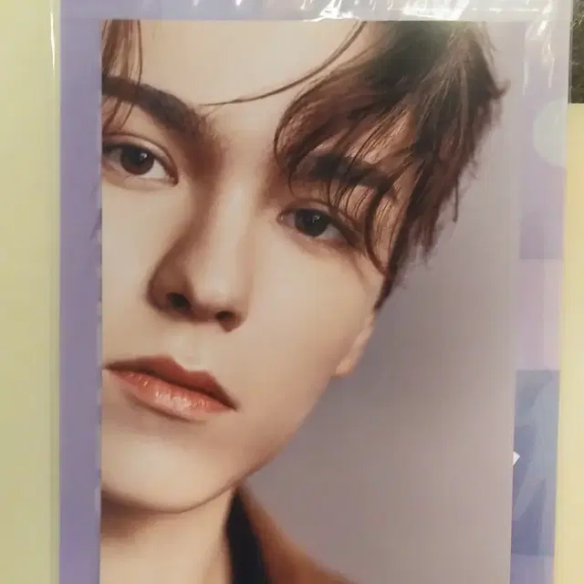 cancam 캔캠 세븐틴 버논 한솔