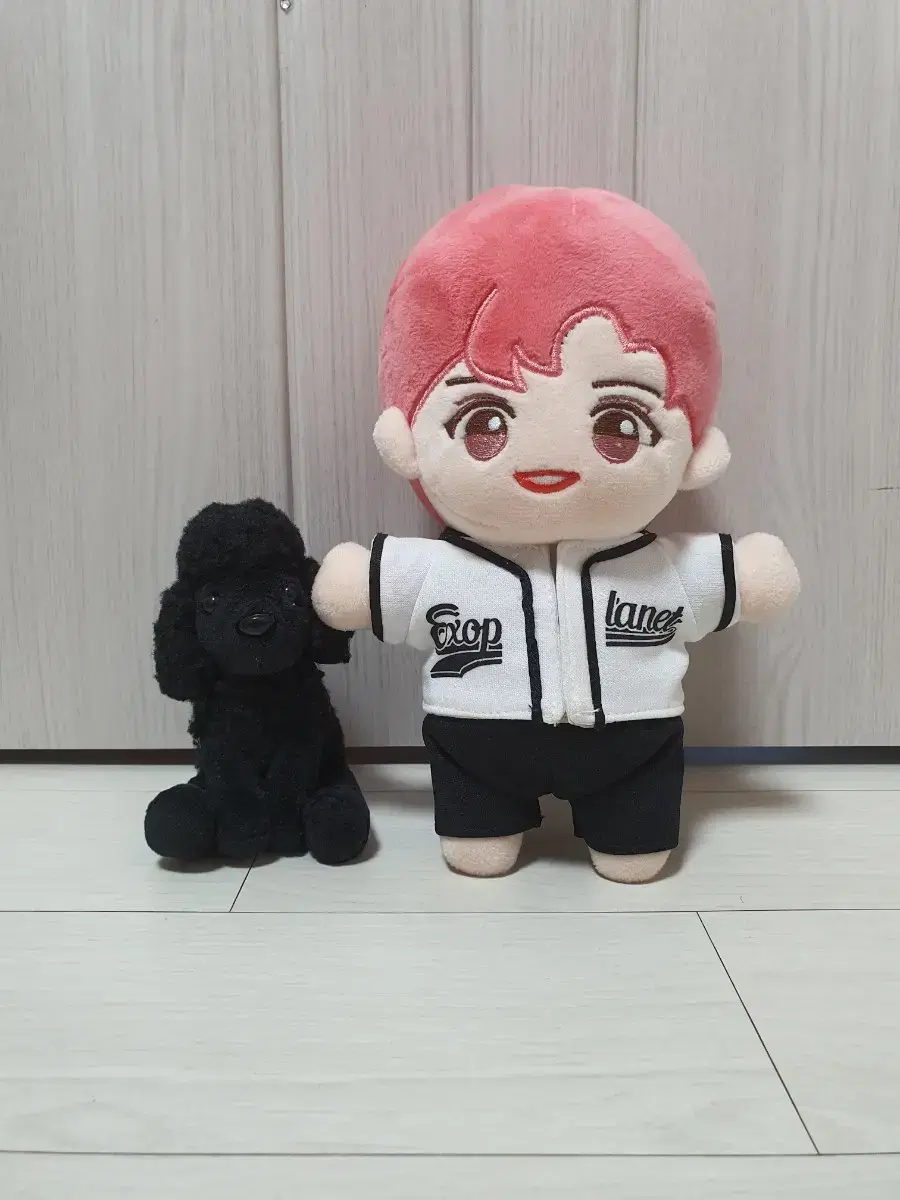 Woojib Chan chanyeol dolls