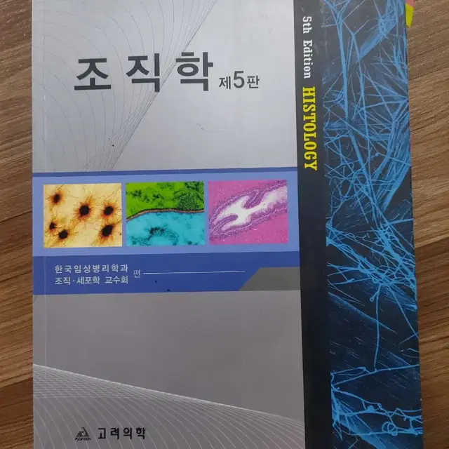 조직학