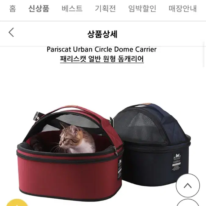 애완동물 캐리어