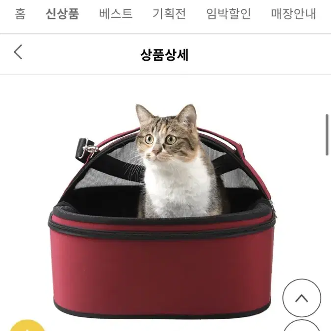 애완동물 캐리어