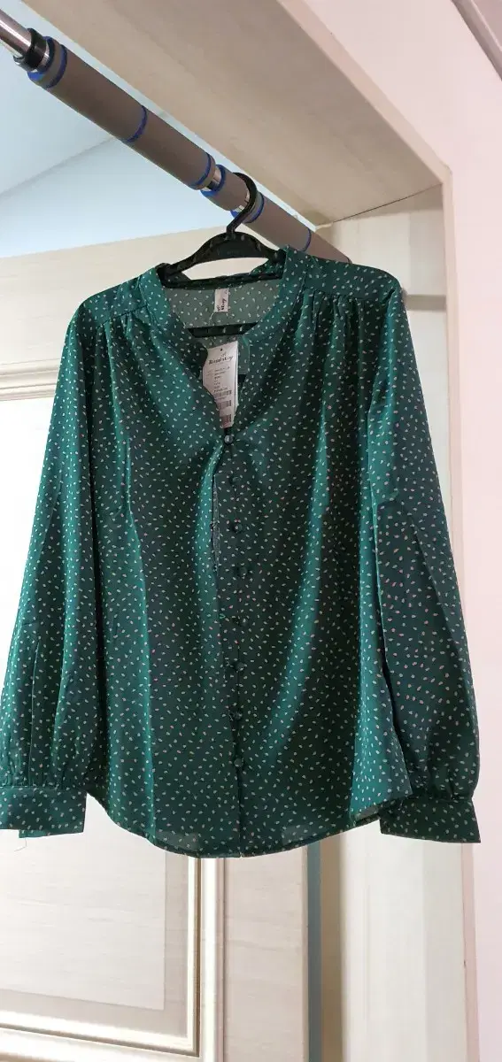 (Organizing the closet) New product, Lomi green blouse