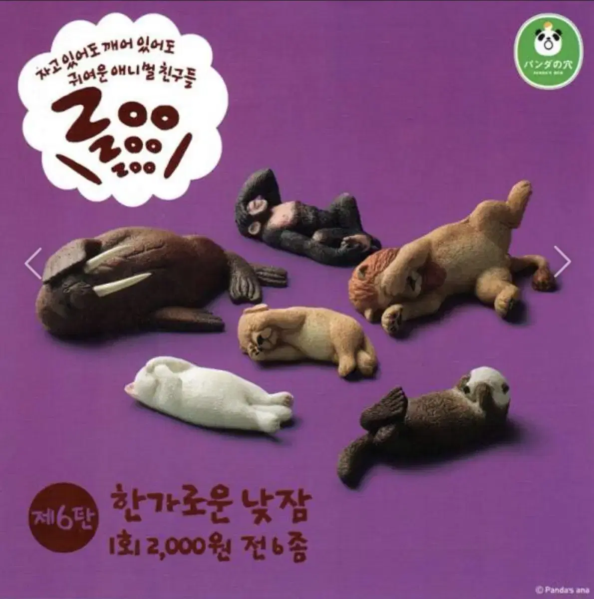 ZOO ZOO ZOO 주주주 한가로운낮잠 6탄 5종 새상품 판매합니다.