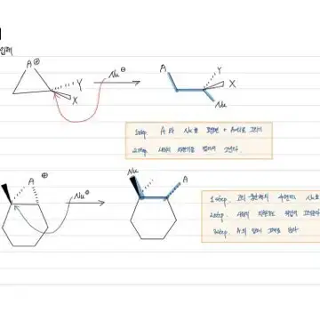 유기화학 개사기 노하우 전자 책(pdf)