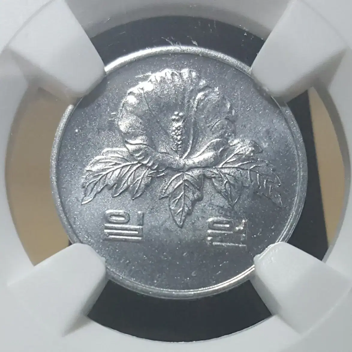 1995년 1주 특년도 MS-64등급 NGC 그레이딩 주화(동전)