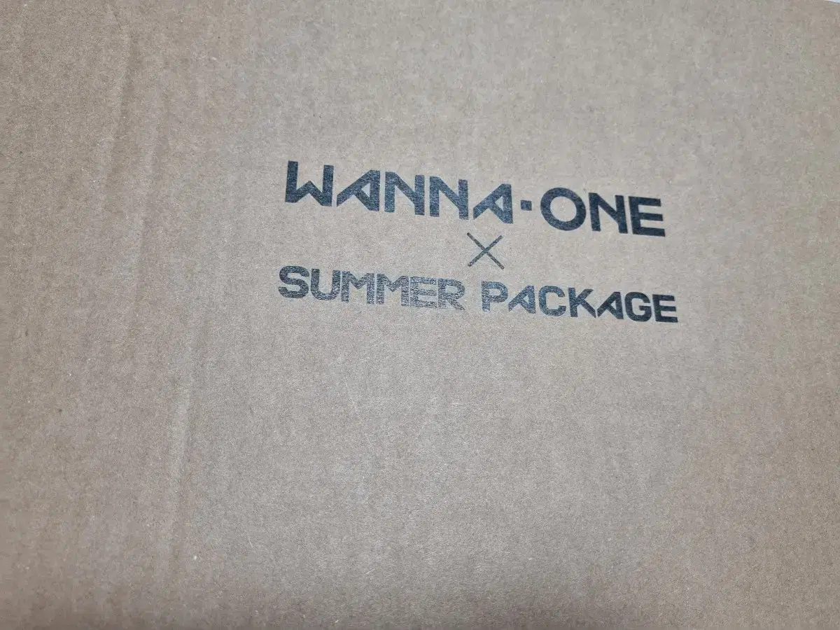 Wanna One Summer Package