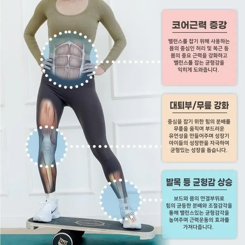 코어근육강화 밸런스보드