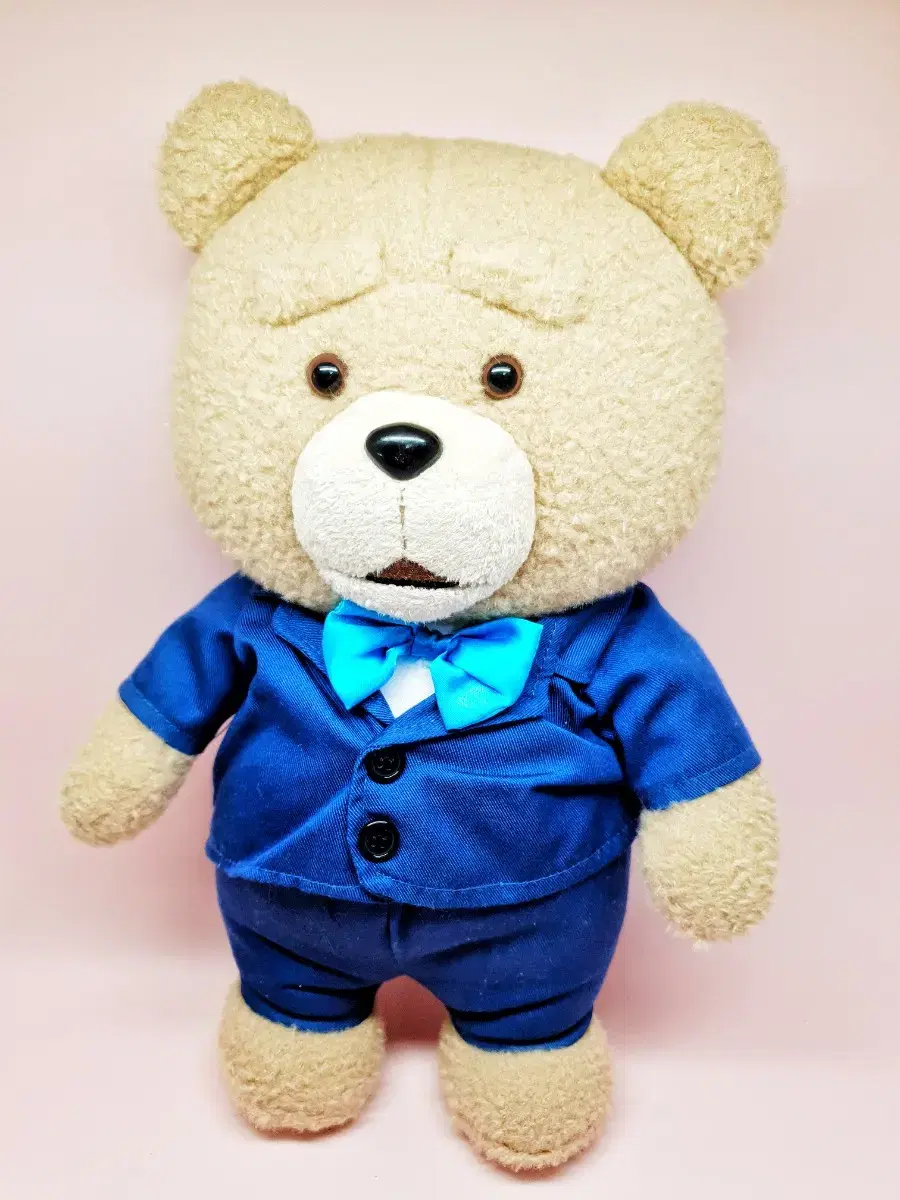 19Ted the Bear 2 Plush Suit