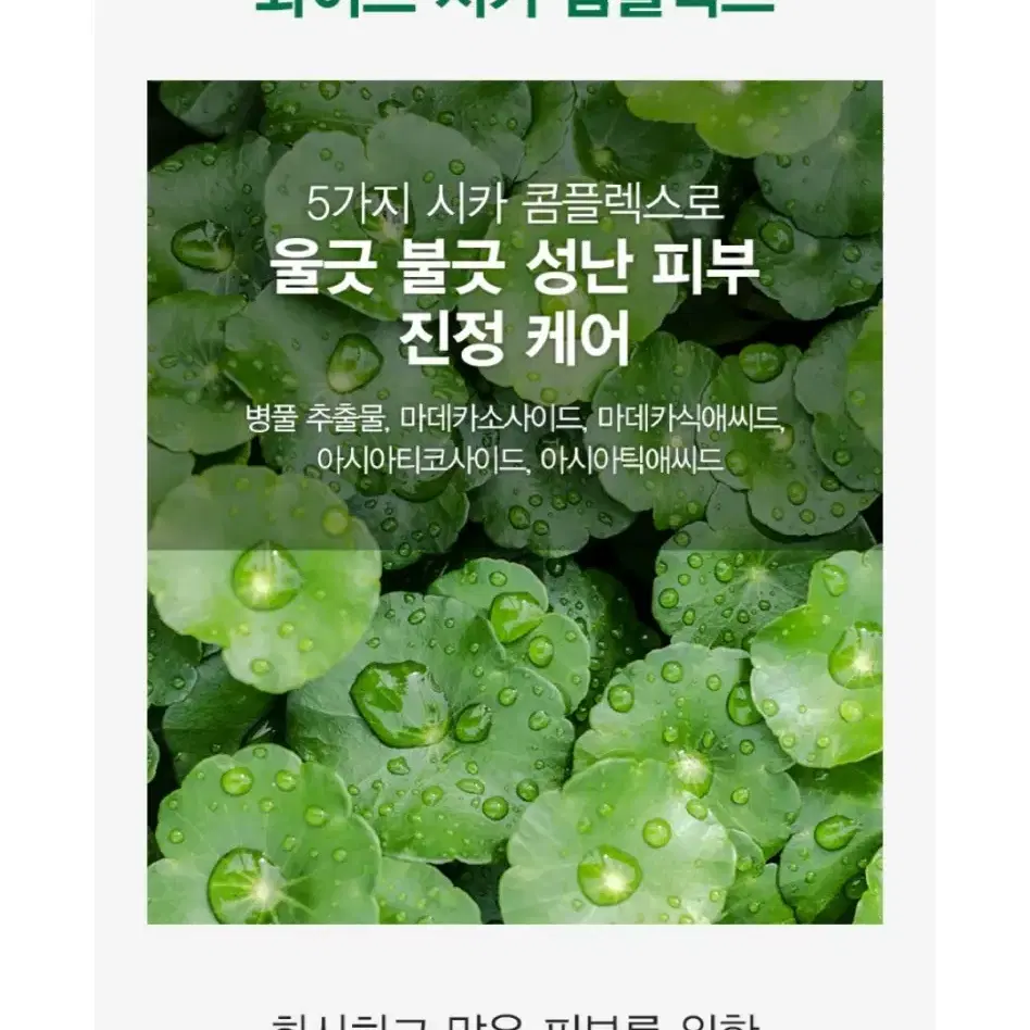 펩타이드 진정 보습 탄력 재생 각질제거 모공에센스 보르톡스 미백