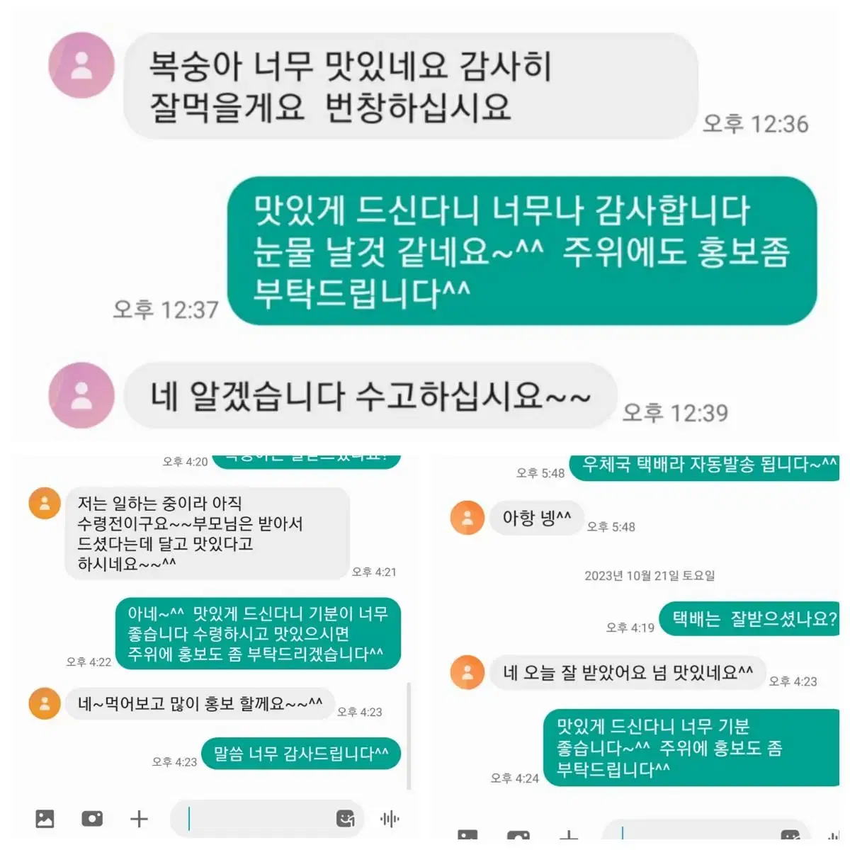 눈꽃(설아)복숭아 가정과 판매합니다