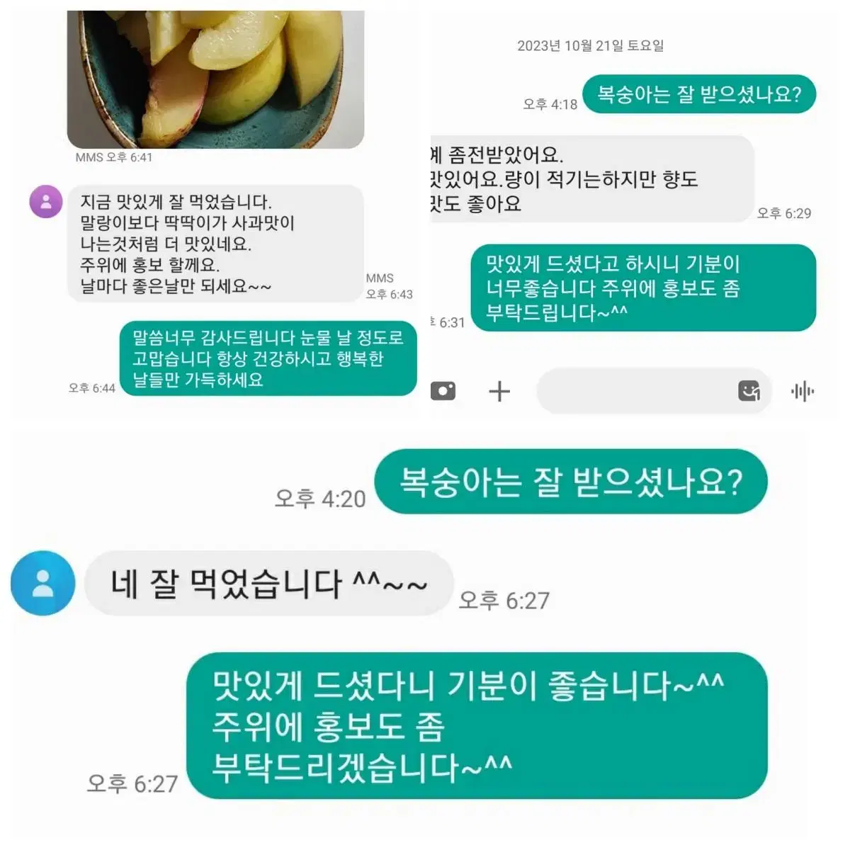 눈꽃(설아)복숭아 가정과 판매합니다