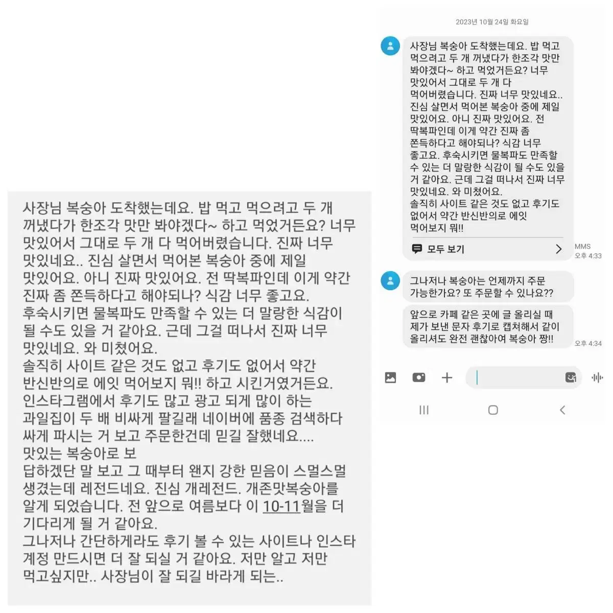 눈꽃(설아)복숭아 가정과 판매합니다