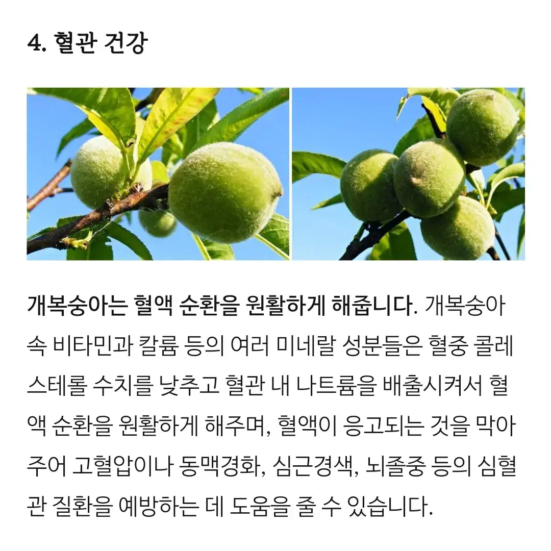 자연산 개복숭아 액기스