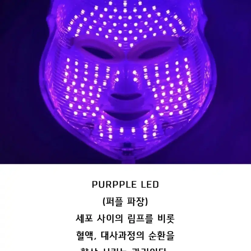 project e beauty 7 색상 LED 마스크