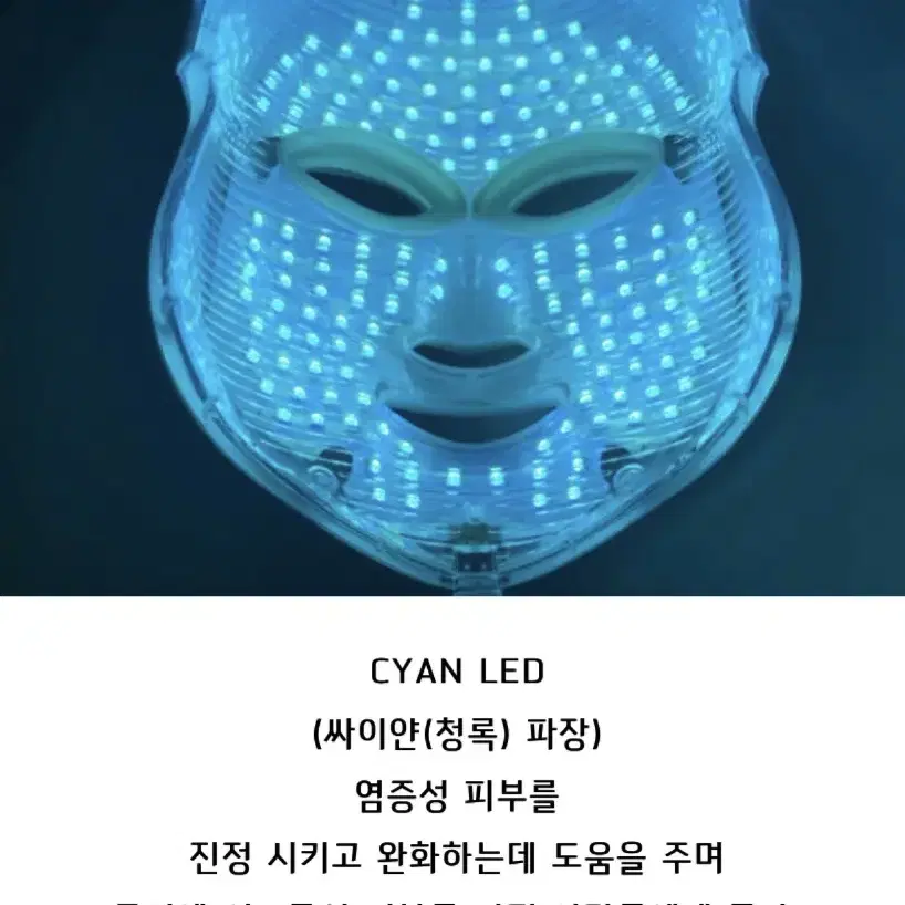 project e beauty 7 색상 LED 마스크