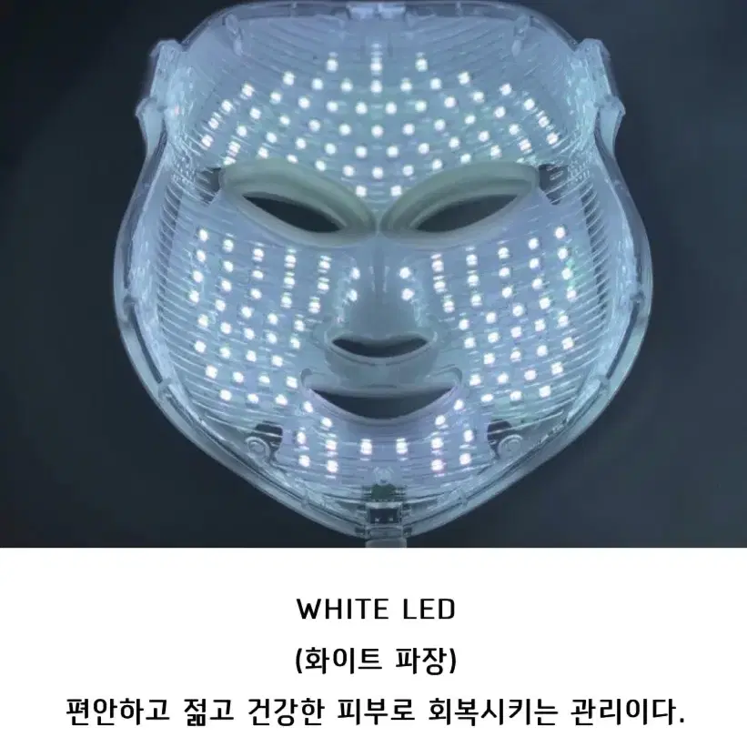 project e beauty 7 색상 LED 마스크