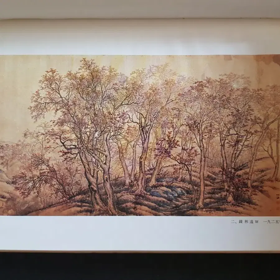 도록 화집 심산 노수현 화집 1974년 발행