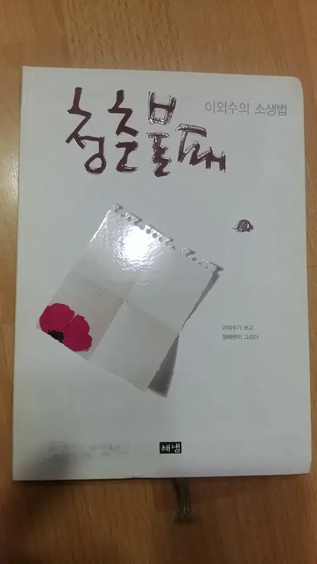 청춘불패ㅡ이외수의 소생법