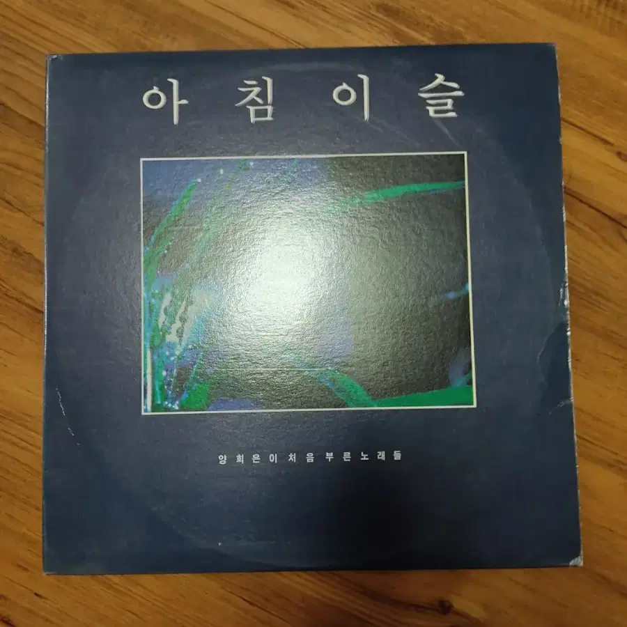 양희은이 처음부른 LP (2p)