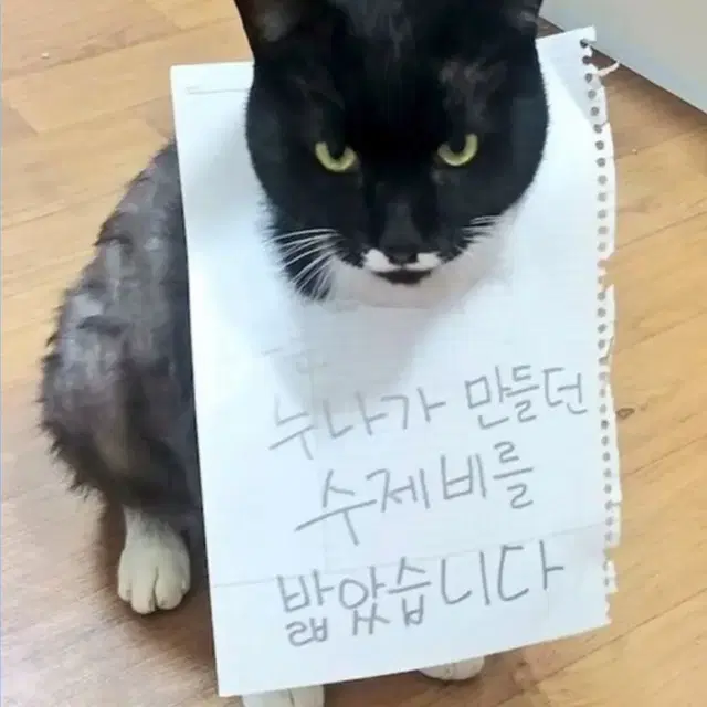 여성/허리로 입는 일자형 청바지/택 S많이 사용하지 않었어요