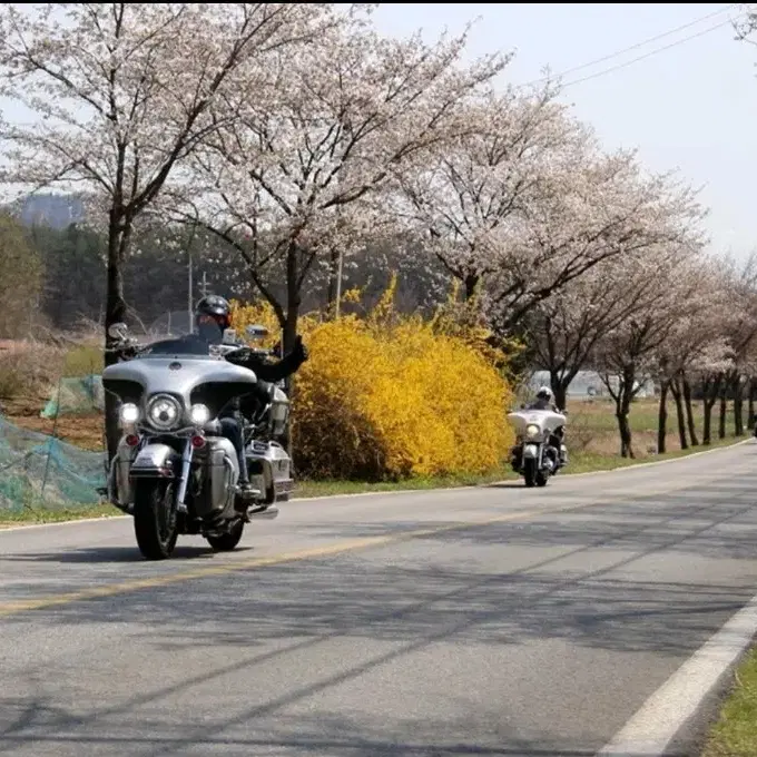 VIOR paris정품 가죽시계 가죽퀴츠시계 구제 미사용