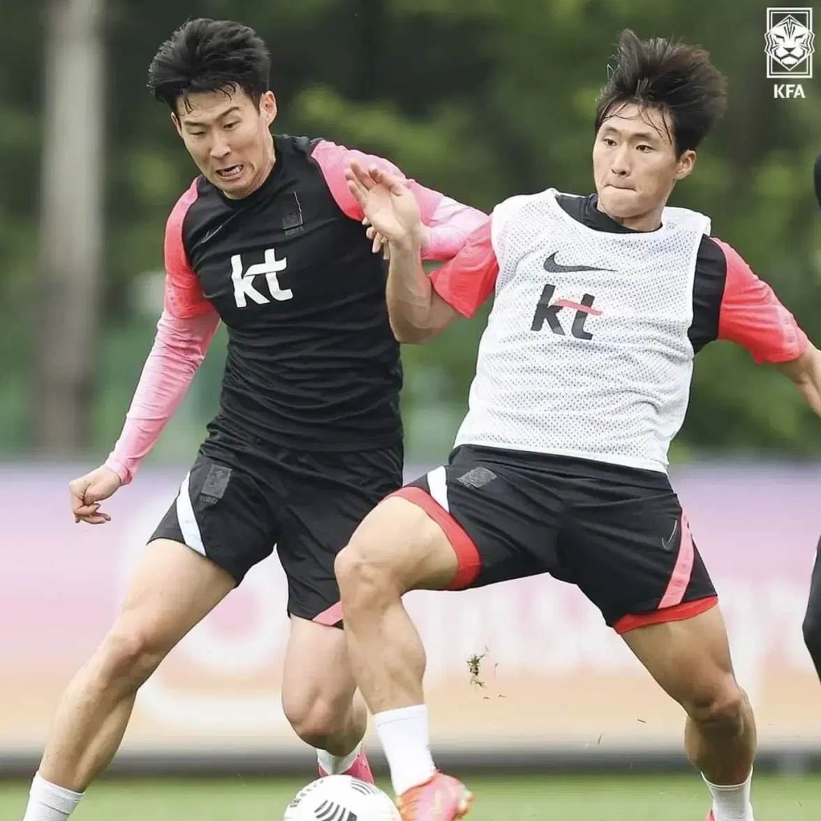 대한민국 축구대표팀 국가대표 선수지급용 국대 트레이닝 쇼트