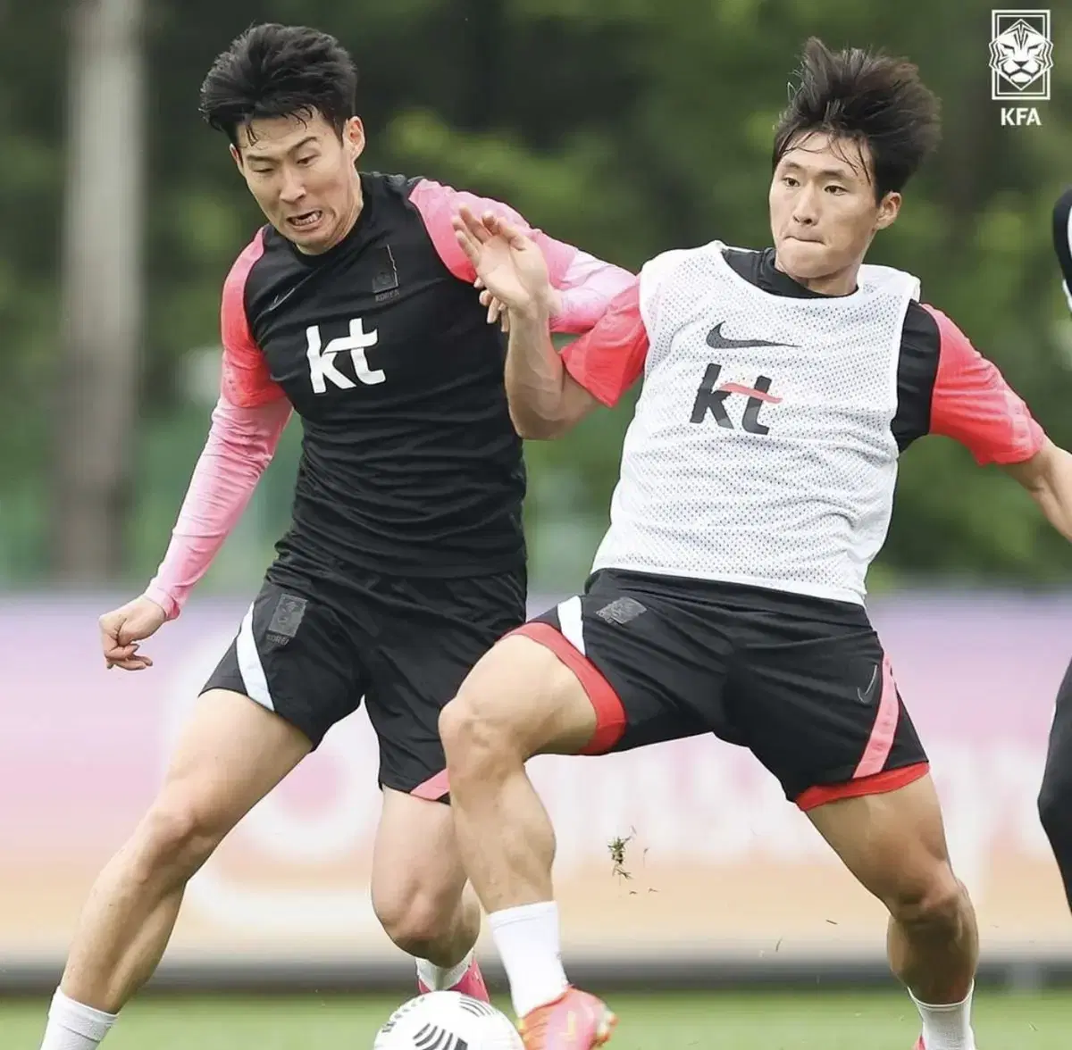 대한민국 축구대표팀 국가대표 선수지급용 국대 트레이닝 쇼트