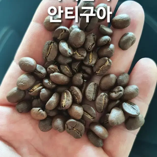 AA,예가체프,따라주,안티구아,수프리모,세하도 원두커피