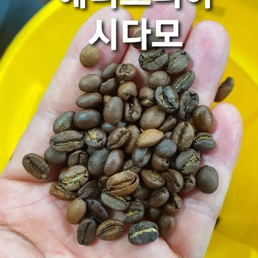 커피, 원두판매, 원두커피납품