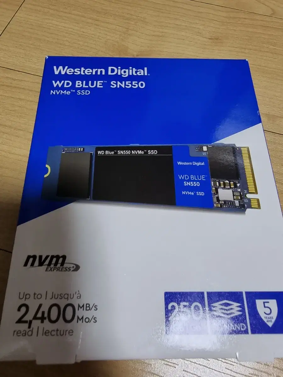 WD BLUE 550 250G nvme.2