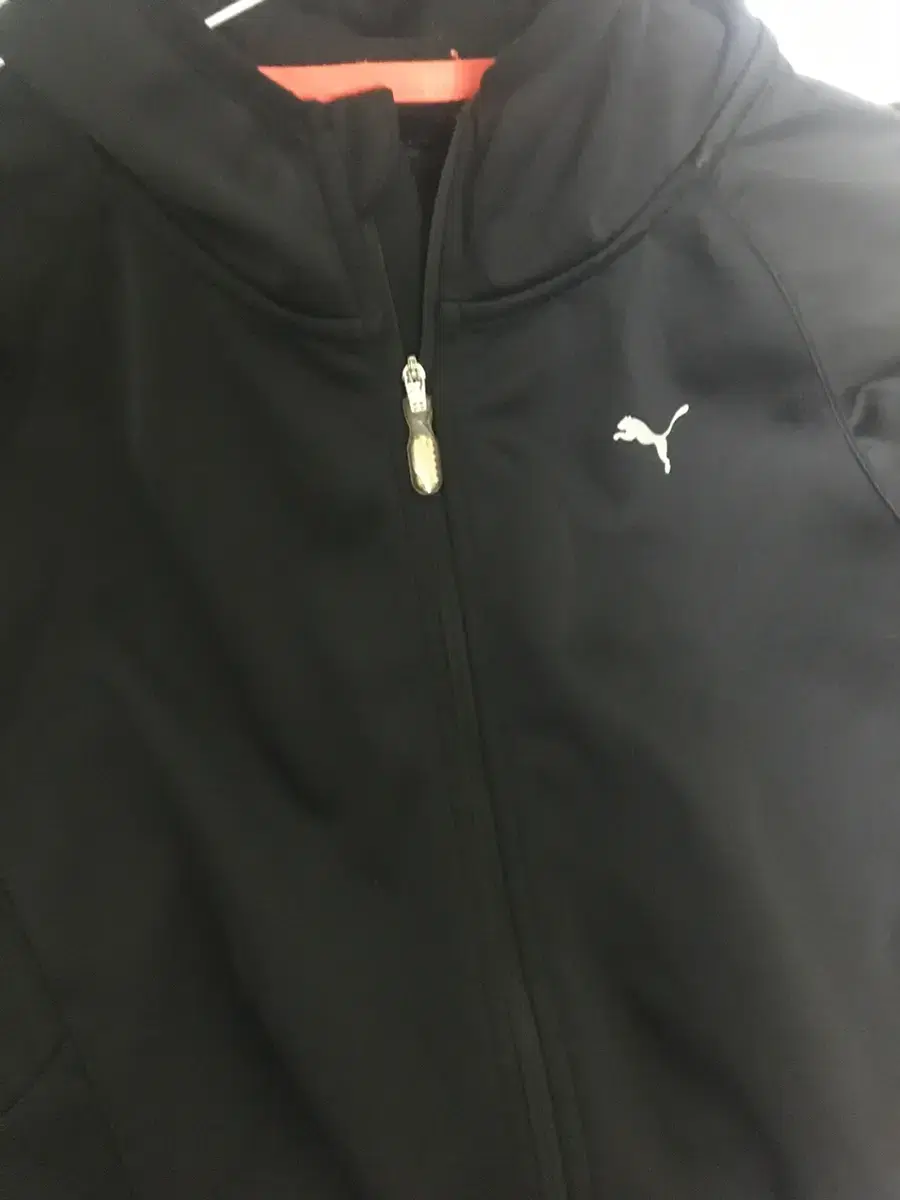 Cougar windbreaker