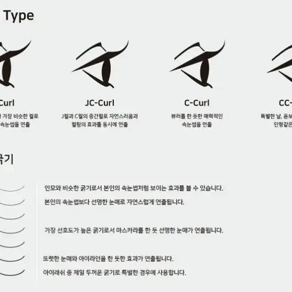 래쉬홀릭 Y컬 W컬 2가닥속눈썹 3가닥속눈썹 러시안볼륨래쉬 2D 3D